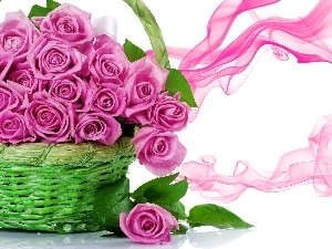 roses, basket, Pink