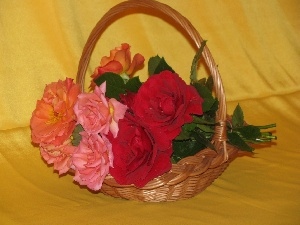 rouge, basket, bouquet