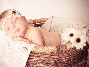 basket, Flowers, small, girl