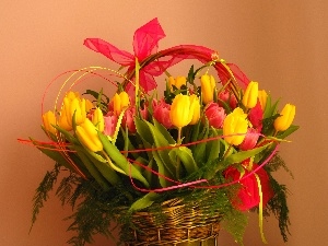 tulips, basket, bouquet