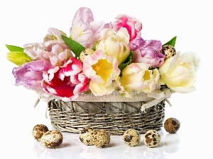 Tulips, basket, eggs