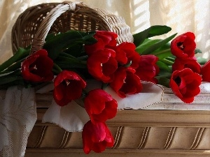 basket, Tulips