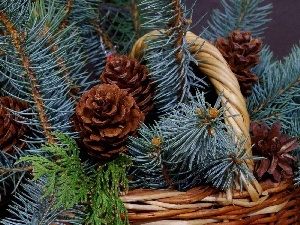 basket, cones, Twigs, conifer