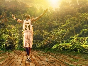 basketball, Kobe Bryant, jungle