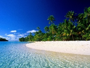 Beaches, Palms, Cook Islands