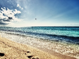 Beaches, clouds, sea, Waves