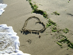 sea, Beaches, Heart