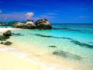 Beaches, sea, Thailand, reef