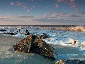 Waves, Beaches, sea