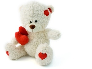 teddy bear, White, Valentine