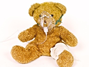 Teddy Bear, ill