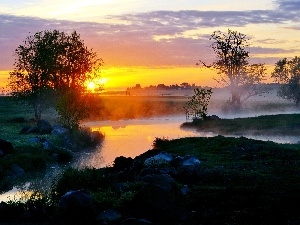 sun, Beatyfull, viewes, River, west, Fog, trees