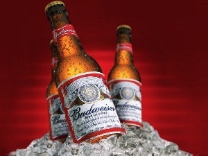 Beer, Budweiser