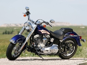 belt, driving, Harley Davidson Softail