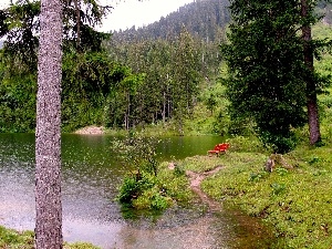 Bench, Spruces, lake, forest