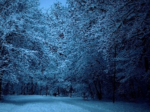 lanterns, ligh, sun, luminosity, flash, Park, alley, winter, bench