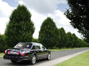 Bentley Arnage Blue Train Series, Limousine