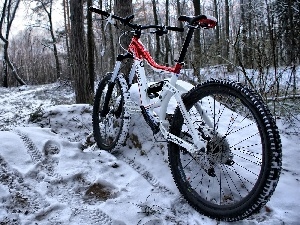 forest, Bike, winter