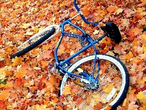 Bike, Leaf, Meadow, Autumn