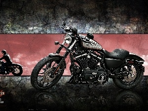 motor-bike, Motorcyclist, Harley-Davidson XL883N Iron