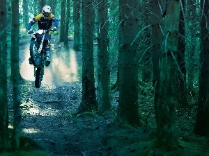 motor-bike, viewes, Path, forest, Motorcyclist, trees