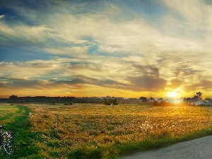 sun, Bike, woods, Meadow, east, field, Way