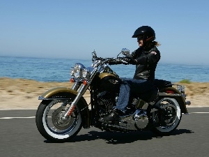 biker, Harley Davidson Softail Fat Boy
