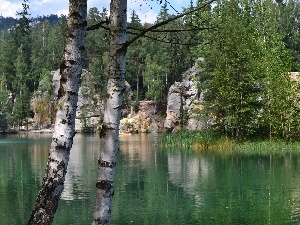 birch-tree, Czech Republic, lake, Ardspach