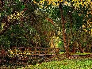 birds, bridges, heavenly, Park