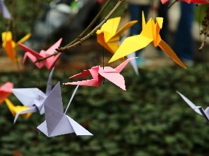 birds, Cards, Origami, color