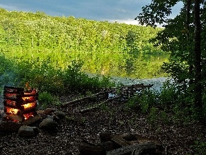 fire, bivouac, forest