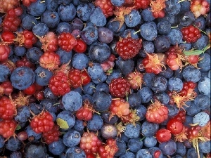 blackberries, blueberries