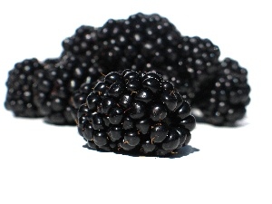 blackberries, juicy