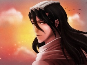 Byakuya, bleach, Kuchiki