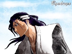 captain, bleach, Byakuya