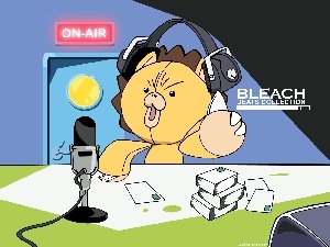 bleach, HEADPHONES, radio, teddybear