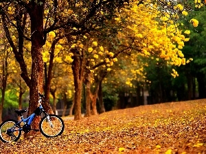 blue, fallen, Leaf, Autumn, Bike, Park