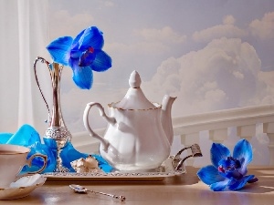 Blue, jug, china, Orchidee, cup
