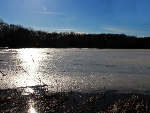 blue, trees, viewes, frozen, Sky, lake