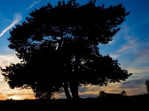 blue, orange, west, Sky, sun