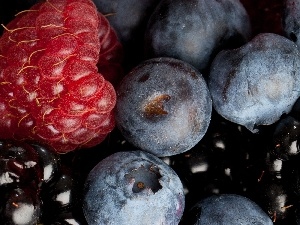 blackberry, blueberries, raspberry