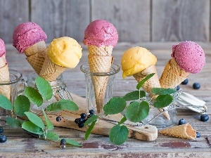 blueberries, leaves, ice cream