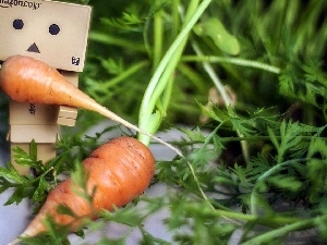 blur, carrots, Danbo, garden