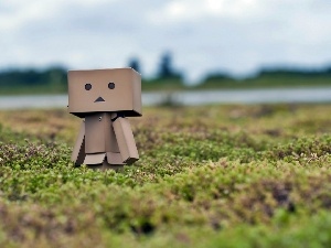 Danbo, blur, Meadow