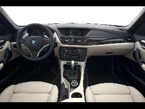 driver, BMW X1