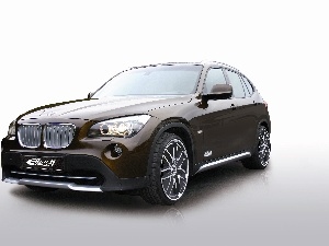 Eibach, BMW X1