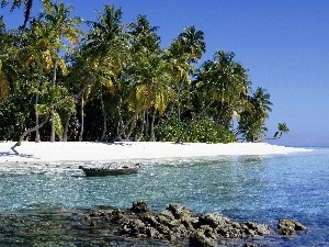 Boat, Palms, summer, Beaches