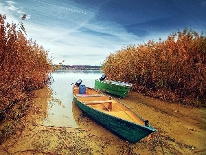 rushes, boats, lake