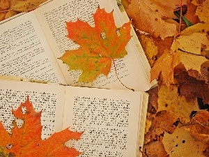 Leaf, Book, autumn