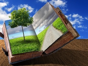 Book, Sky, trees, Meadow